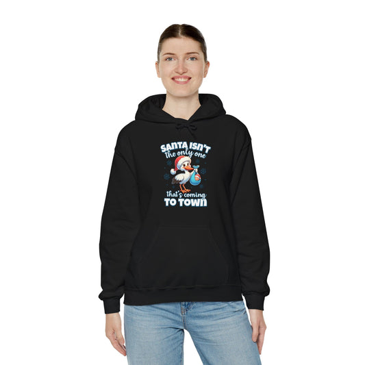 Ink and Charms Designs Hoodie Black / S Hooded Sweatshirt Mom to Be Funny Christmas Pregnancy Announcement